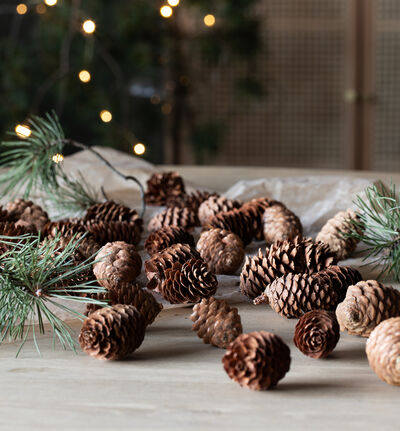 Kongler medium i pose natur Kongler medium i pose natur